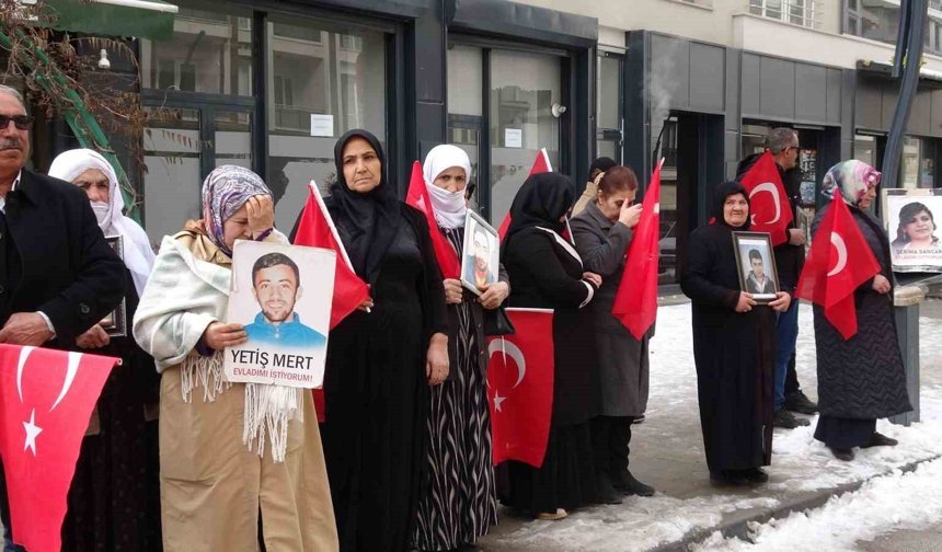 Vanlı anne: 'Artık çocuklarımızı gömmeyelim, silahlarımızı gömelim'