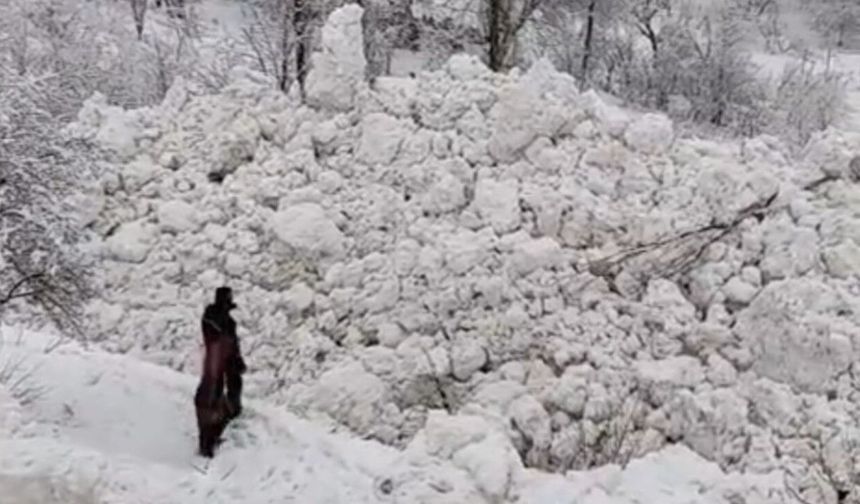 Yüksekova'da aynı bölgede ikinci çığ