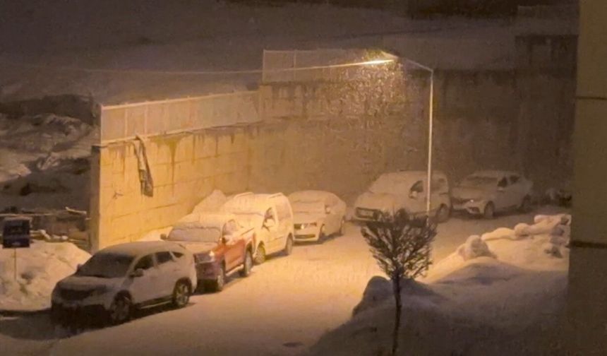 Yüksekova'da kar yağışı etkili oldu