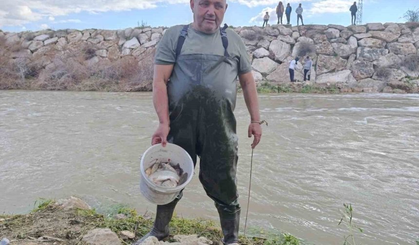 10 yıllık kuraklığın hakim olduğu çayda balık avladılar