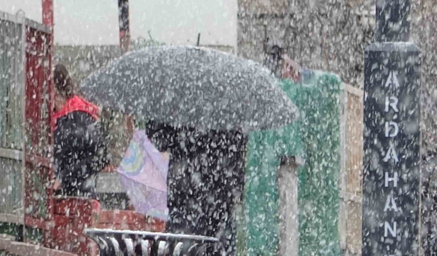 Ardahan'da kar yağışı etkili oldu