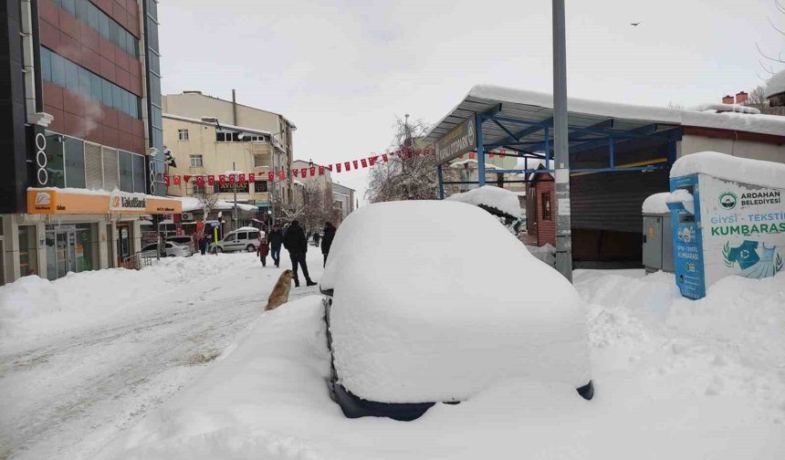 Ardahan'da nisan ayında kar sürprizi