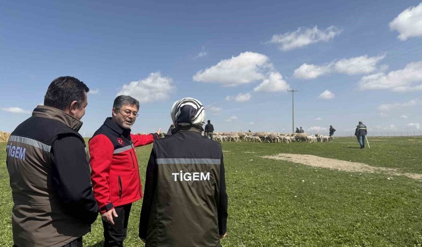 Bakan Yumaklı: (Kırsalda Bereket Küçükbaşa Destek Projesi) 'En iyi ırkın oluşturulması için çalışılmış sürülerden verilecek'