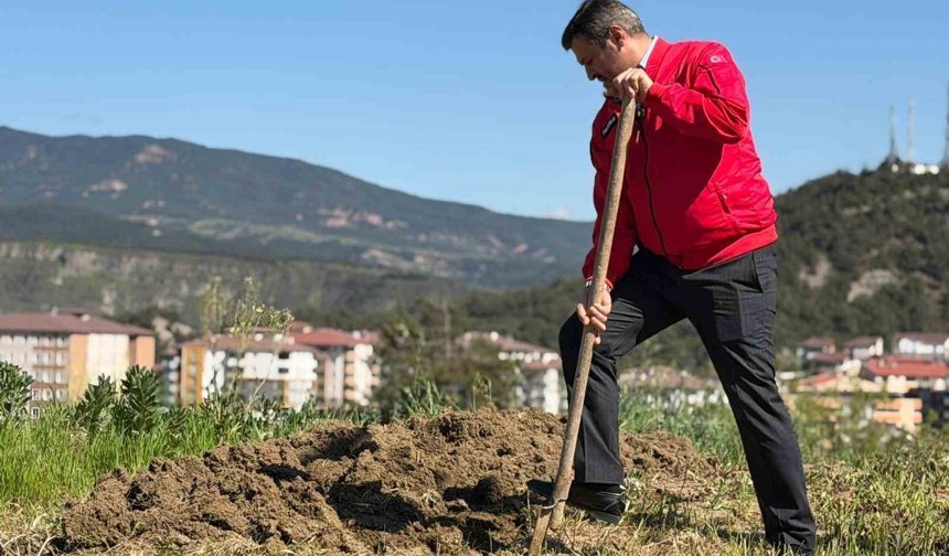 Başkan Çetinkaya bademin karşılığını emeğiyle ödedi