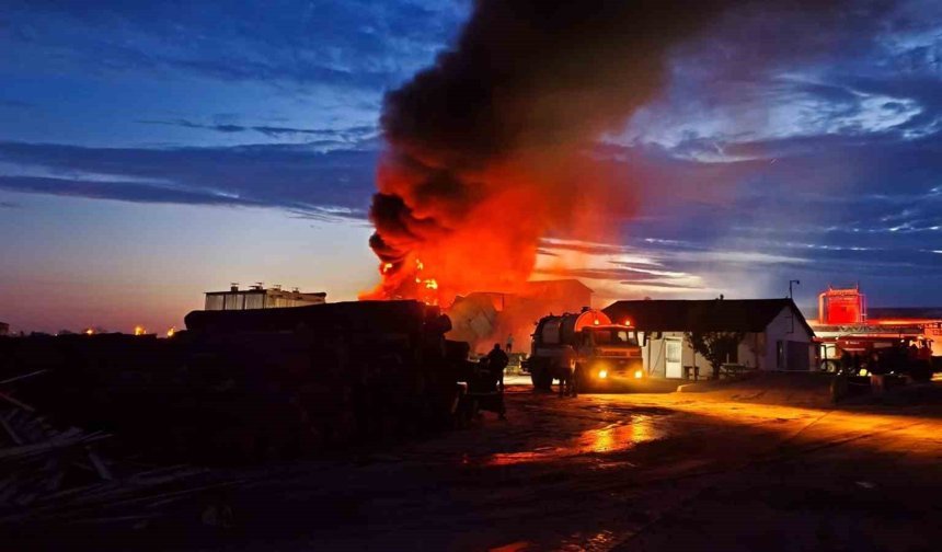 Edirne'de kereste fabrikasında yangın
