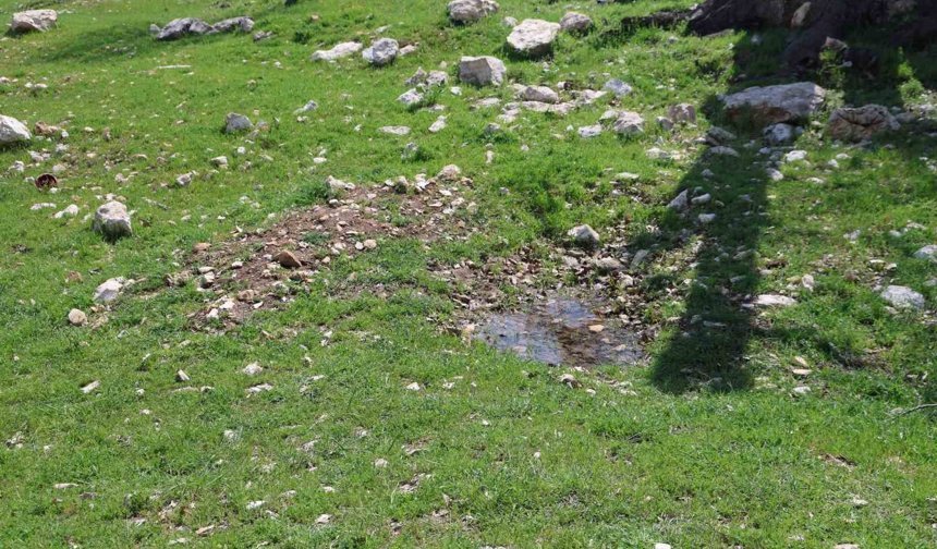 Gülistan Doku'nun ilk gömüldüğü iddiaya edilen yer havadan görüntülendi