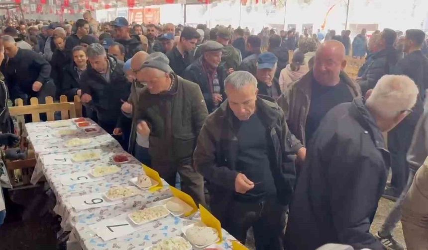 Halk jüri oldu, en iyi keçi peynirini vatandaş seçti