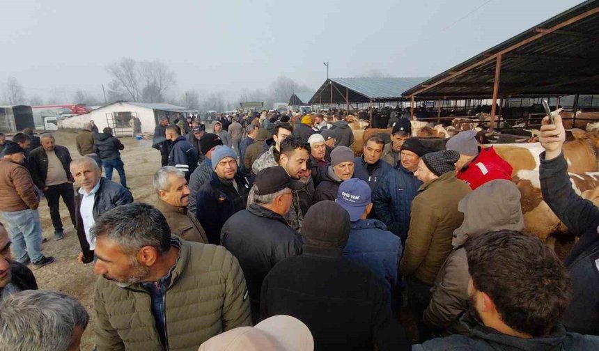 Hayvan pazarında hararetli pazarlık kamerada