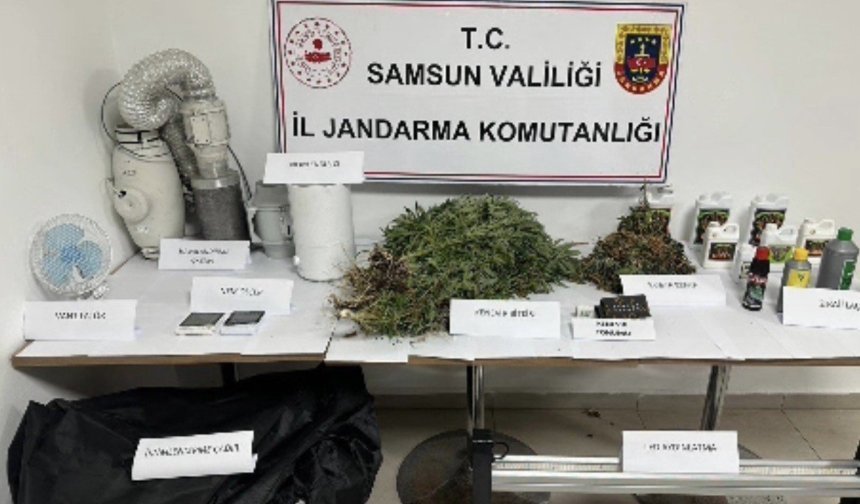 Jandarmadan evde kenevir operasyonu