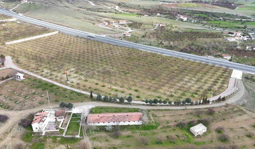 Malatya'da kayısı üreticileri zirai dona karşı önlem alıyor