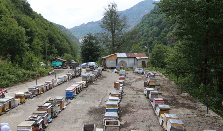 Mevsim normallerinin altında seyreden hava sıcaklığı arıcıları vurdu, uzmanlardan kritik uyarı