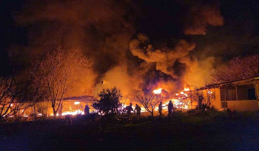 Muz deposu alevlere teslim oldu: 3 saatte kontrol altına alındı