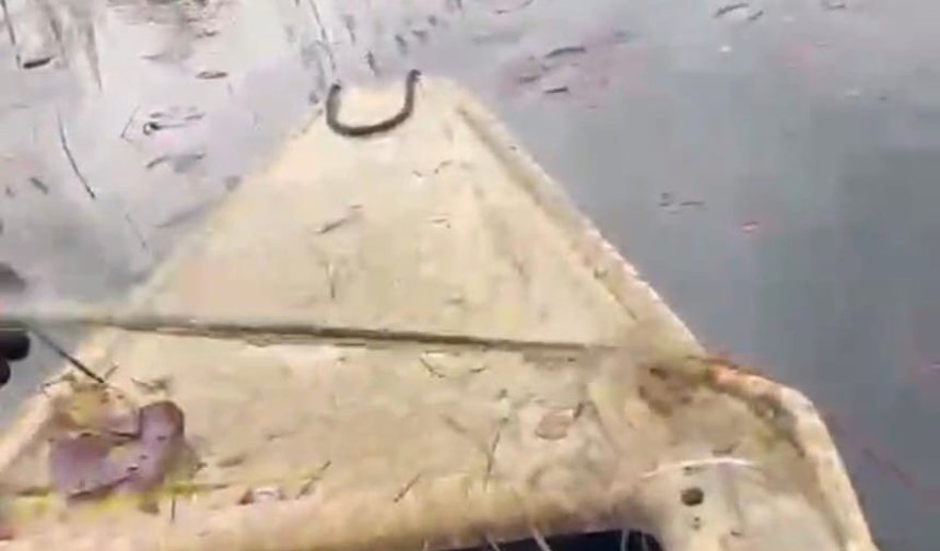 'Nilüfer Cenneti'nde kaçak avcılığa 'dur' denildi