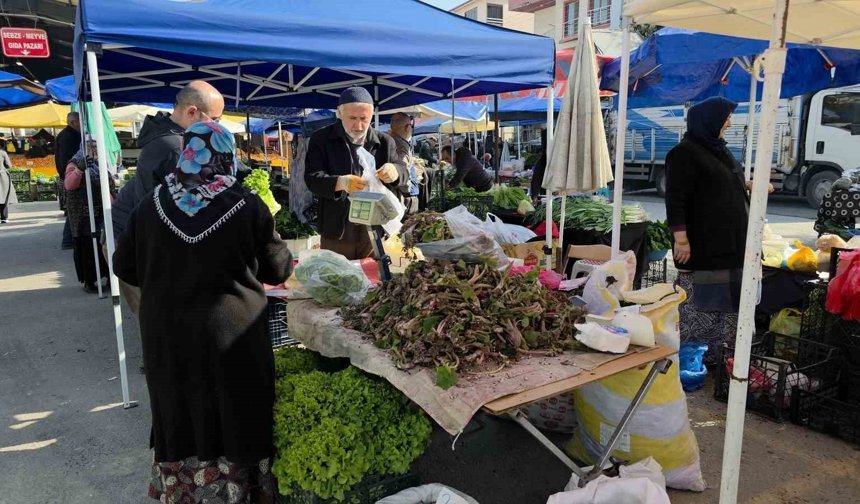 Şifa dağıtan kaldirik otu tezgahlardaki yerini aldı