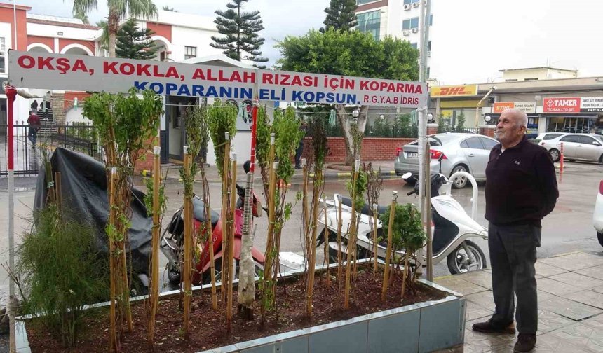 Annesinin çok sevdiği çiçeği, iş yerinin önünde mezarı andıran alanda 40 yıldır yaşatıyor