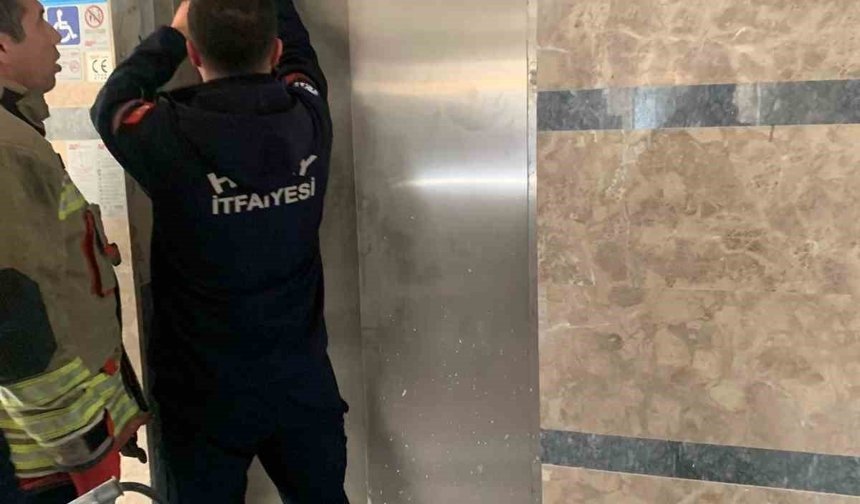 Asansör boşluğuna düşen yavru kediyi itfaiye kurtardı