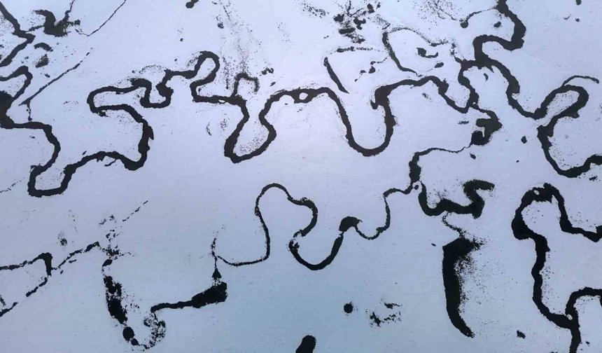 Bolu'da 14 köyün yaylasında mendereslerin görüntüsü mest etti