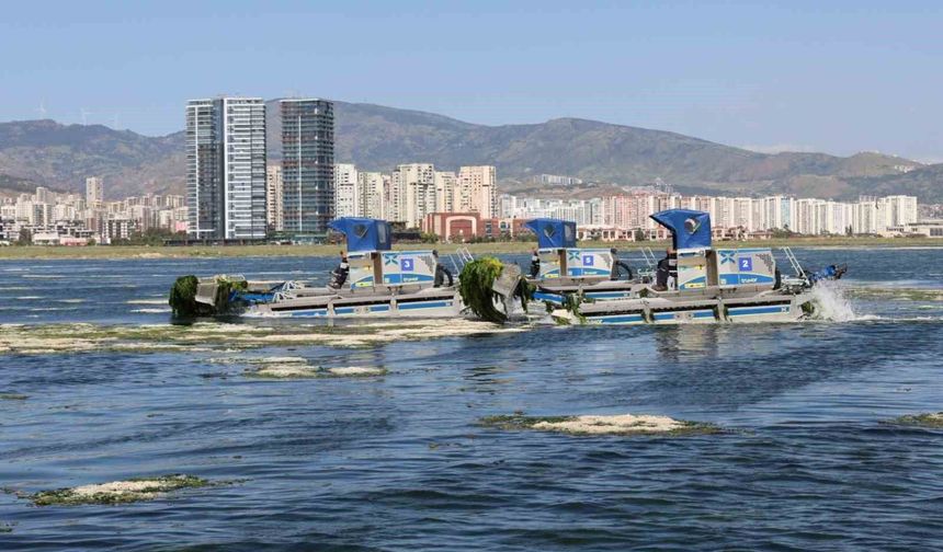 Büyükşehir'den Körfez'de temizlik mesaisi