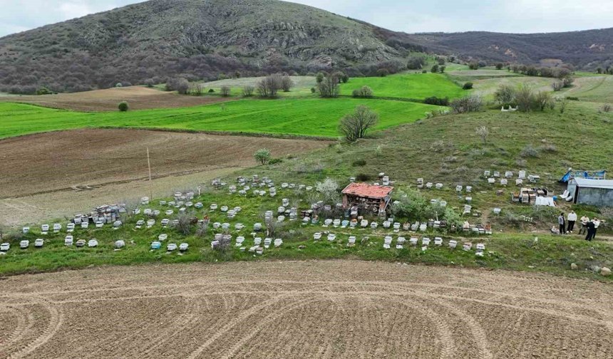 Dedesinden öğrendiği mesleği köyünde sürdürüyor