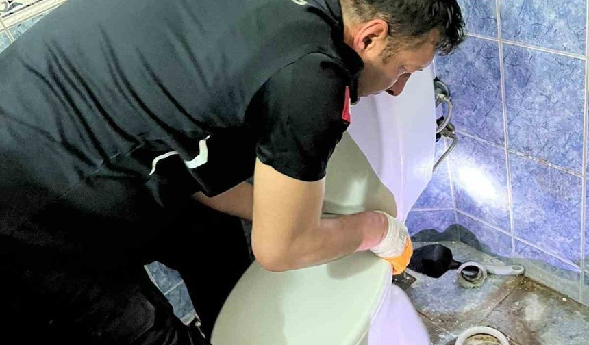 Klozete düşen yavru kediyi itfaiye kurtardı