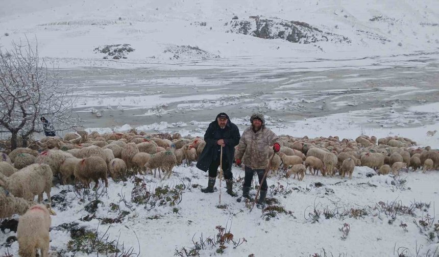 Tipi vurdu heyelan yolu kapattı, 2 çoban ve yaklaşık 650 küçükbaş hayvan yaylada mahsur kaldı