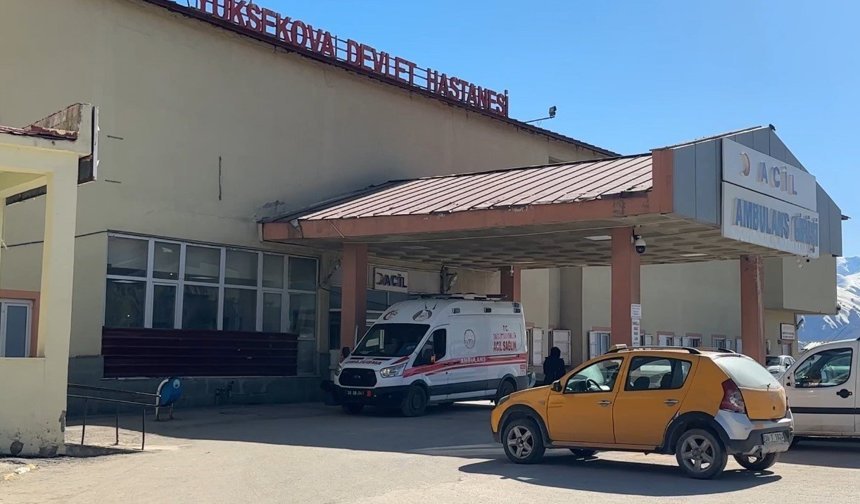 Yüksekova'da patlama: 1 çoban yaralı, 3 koyun telef oldu