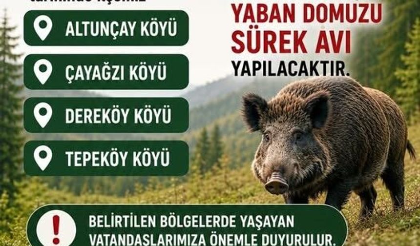Akçakoca'da domuz avı yapılacak
