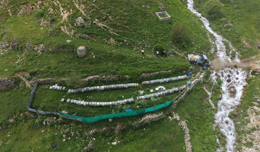 Anzer Balı'nın yeni sezon kilogram satış fiyatı 7 Bin TL olarak belirlendi