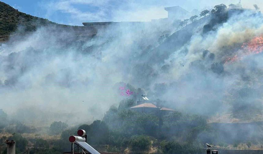 Ayvacık'ta makilik alanda yangın çıktı