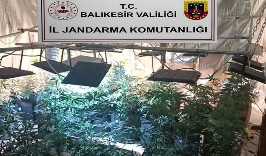 Balıkesir'de jandarmadan uyuşturucu serasına çevrilen evlere baskın: 12 gözaltı