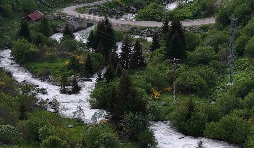 Beyaz örtü kalktı, Rize yaylaları yeşile büründü