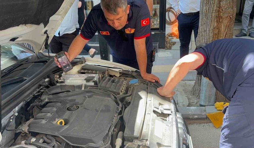 Bir arabadan çıkıp başka arabaların altına giren kedi itfaiyecilere zor anlar yaşattı