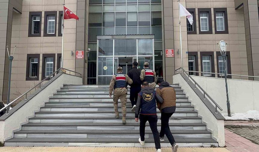 Bitlis'te göçmen kaçakçılığı operasyonu