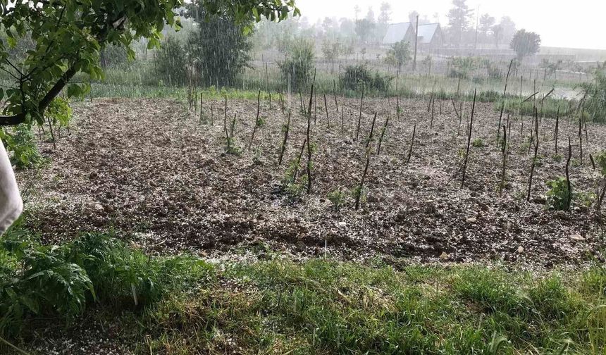 Bursa'da dolu: Keles'te tarım arazilerini dolu vurdu