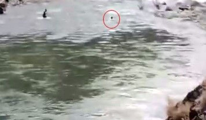 Çayda kaybolmuştu, akıntıya kapıldığı anlar kameraya yansıdı