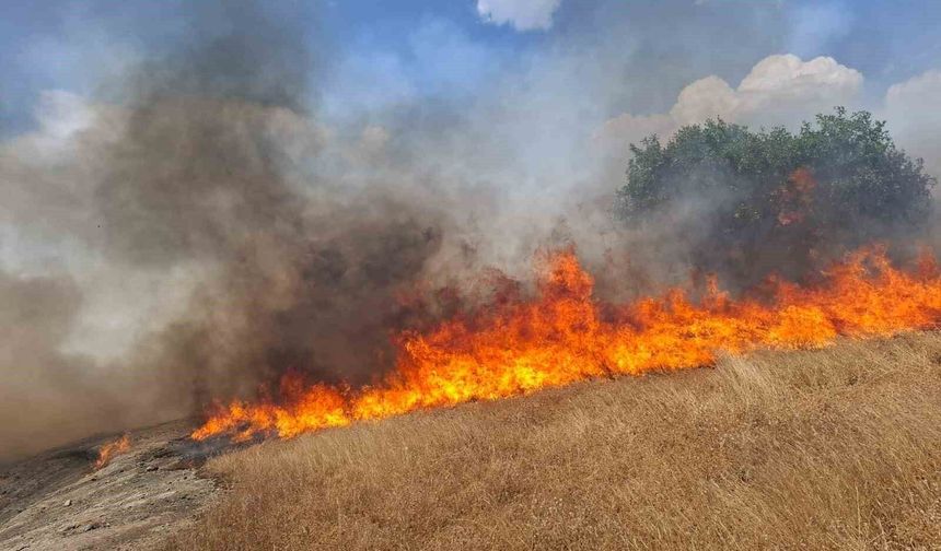 Diyarbakır'ın beş ilçesinde yangın