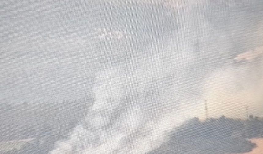Elektrik tellerine çarpan karga yangına sebep oldu