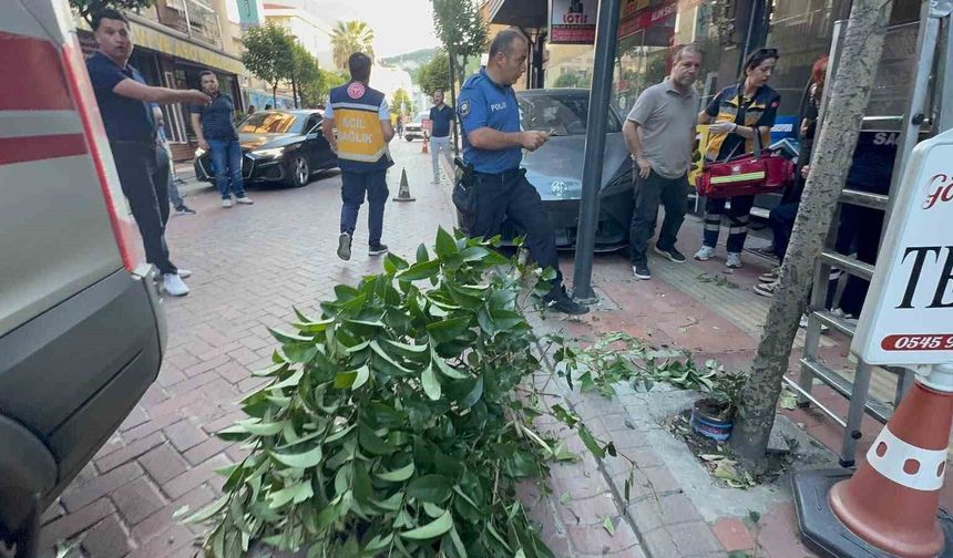 Fren yerine gaza bastı: İki ağacı devirip, duvara çarptıktan sonra durabildi