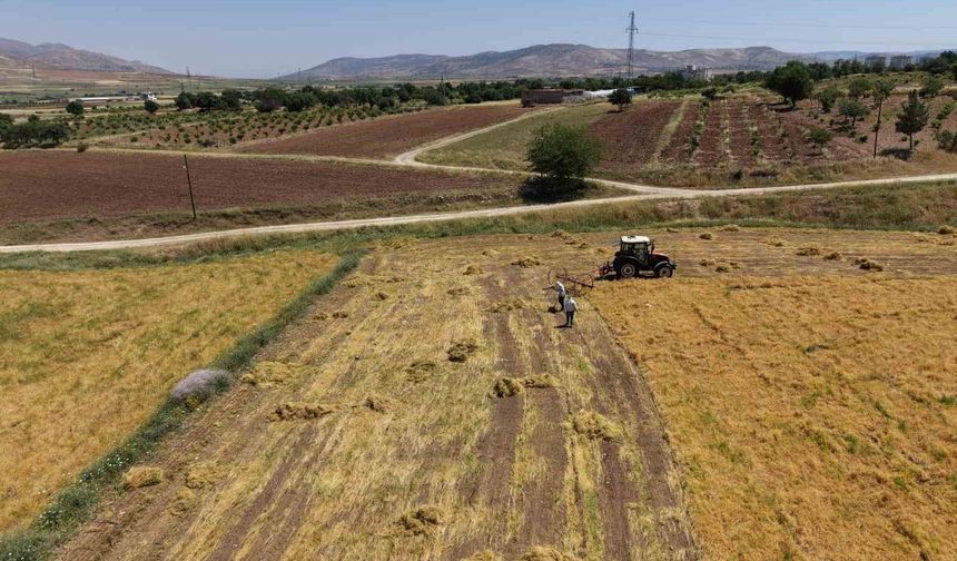 Gercüş'te bereketli hasat: Mercimek rekoltesi çiftçinin yüzünü güldürdü