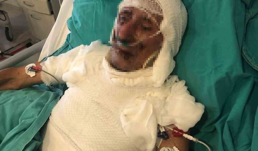 Kardeşini ahıra kilitleyip ateşe verdiği iddia edilen şahsa 15 yıl hapis cezası çarptırıldı