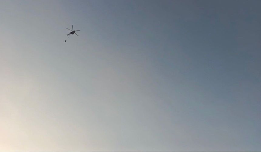 Mardin'deki örtü yangınları kontrol altına alındı