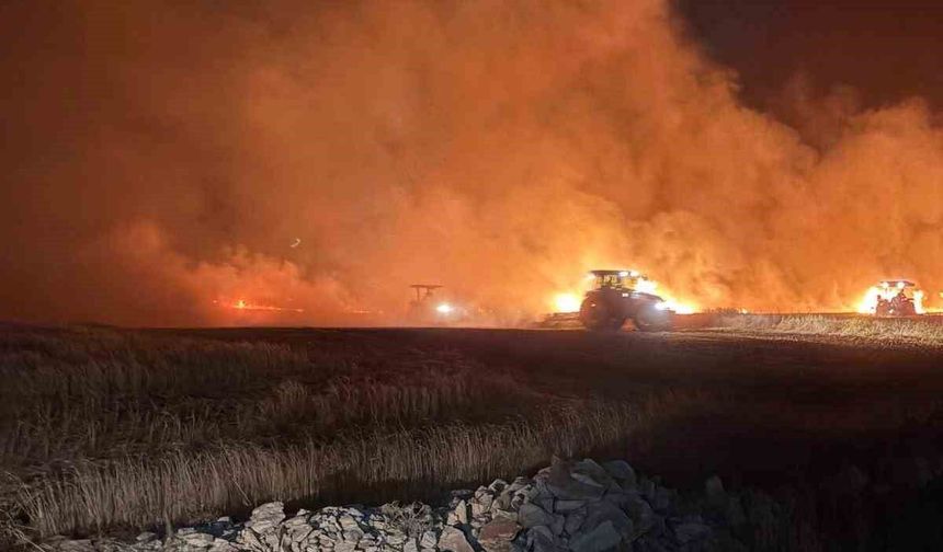 Mazıdağı'nda dün gece çıkan yangında ekili araziler zarar gördü