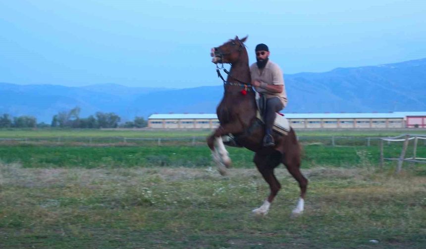 'Mehmet: Fetihler Sultanı' oyuncusu Mustafa Kaya, Muş'ta film atlarını hazırladı