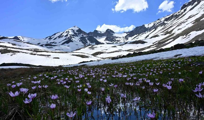 Yaz ortasında kışın hüküm sürdüğü eşsiz coğrafya: Artabel