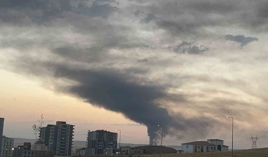 Batman'da Market Zincirine Ait Depoda Büyük Yangın: 8 Depo ve 8 Araç Kullanılamaz Hale Geldi