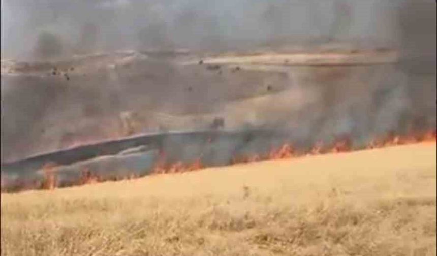 Ankara'da çıkan ot yangını kontrol altına alındı