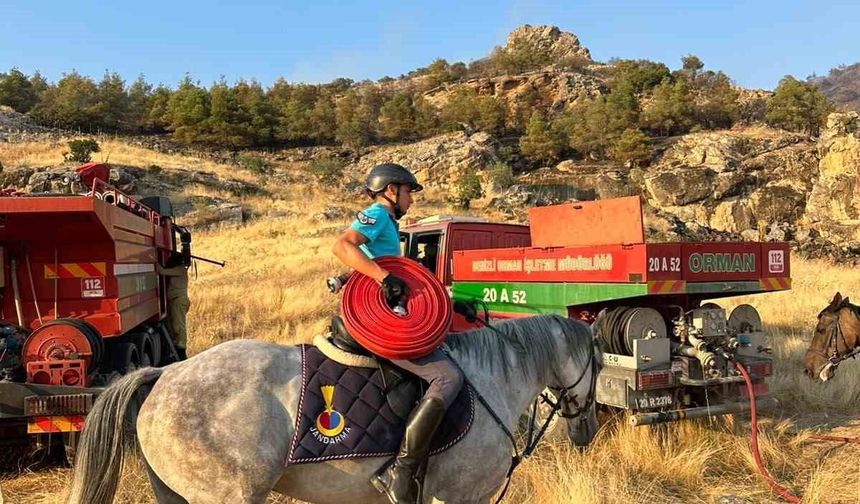 Atlı jandarmalar yangın bölgesine hortum taşıdı