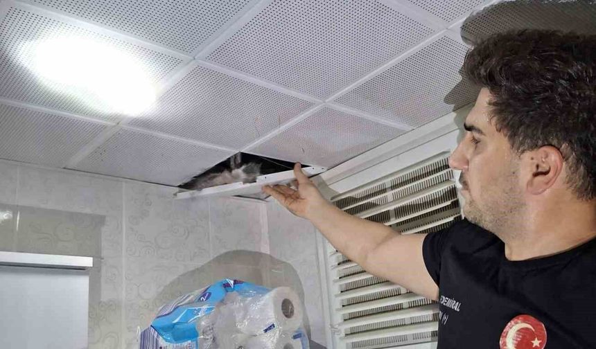 Batman'da asma tavanda sıkışan güvercinler itfaiye tarafından kurtarıldı