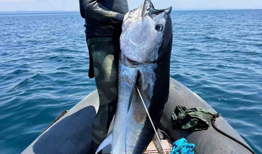 Gökçeada'da sörf eğitmenleri 55 dakikalık mücadelenin ardından 65 kiloluk orkinos yakaladı