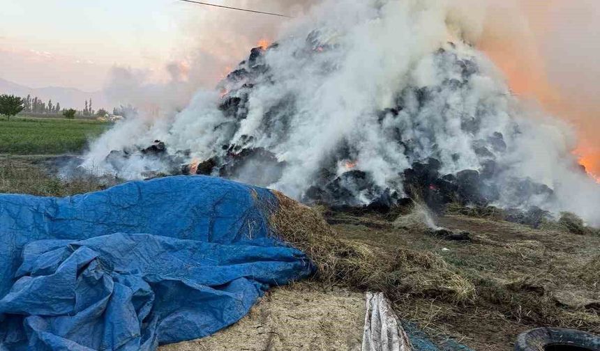 Iğdır'da çıkan yangında yaklaşık 6 bin balya ot kül oldu